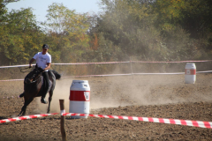 IMG_3006_1024x683