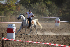 IMG_3012_1024x683