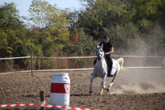 IMG_3019_1024x683