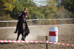 IMG_3049_1024x683
