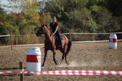 IMG_3062_1024x683