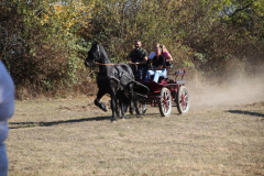 IMG_3176_1024x683