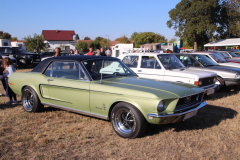 IMG_3208_1024x683