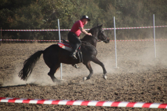 IMG_3246_1024x683