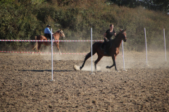 IMG_3250_1024x683
