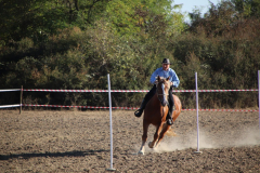 IMG_3256_1024x683