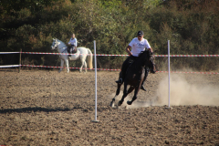 IMG_3269_1024x683