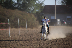 IMG_3271_1024x683