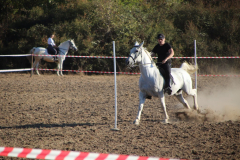 IMG_3279_1024x683