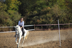 IMG_3281_1024x683