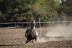 IMG_3288_1024x683