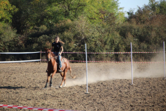 IMG_3290_1024x683