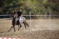 IMG_3301_1024x683