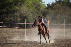 IMG_3305_1024x683