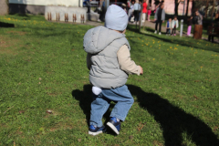 IMG_4906_1024x683
