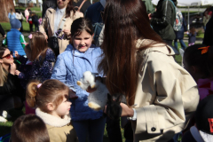 IMG_4952_1024x683