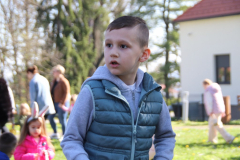 IMG_4972_1024x683