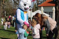 IMG_5133_1024x683