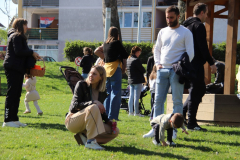 IMG_5273_1024x683