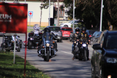 IMG_5308_1024x683