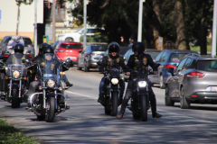 IMG_5309_1024x683