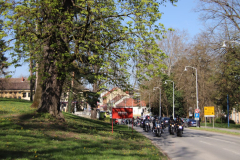 IMG_5311_1024x683