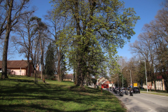IMG_5312_1024x683