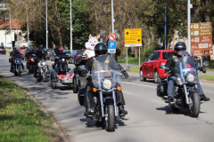 IMG_5321_1024x683