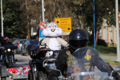 IMG_5323_1024x683