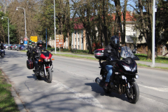 IMG_5339_1024x683