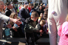 IMG_5368_1024x683