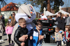 IMG_5404_1024x683