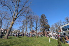 viber_slika_2026-04-04_10-58-09-974_1024x576