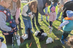 viber_slika_2026-04-04_11-44-46-835_1024x768