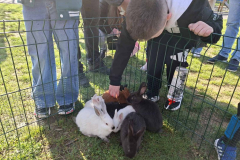 viber_slika_2026-04-04_11-44-46-939_1024x768