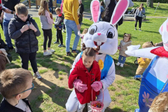 viber_slika_2026-04-04_11-47-32-385_1024x768