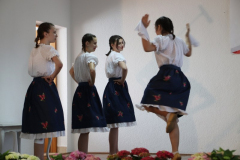 IMG_4621_800x533