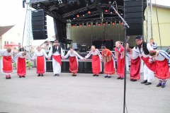 IMG_3330_1024x683