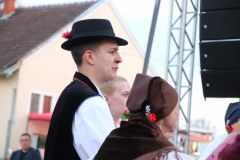 IMG_3431_1024x683