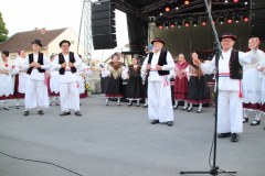 IMG_3452_1024x683
