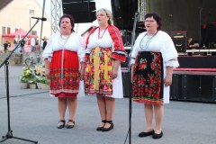 IMG_3507_1024x683