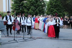 IMG_3524_1024x683