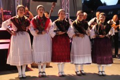 IMG_3811_1024x683