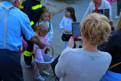 IMG_0473_1024x683