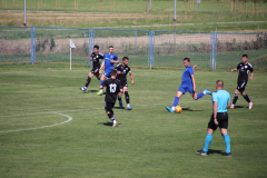 IMG_8810_1024x683
