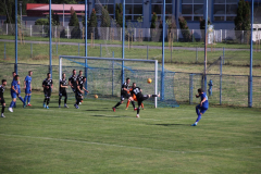 IMG_8878_1024x683