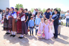 IMG_7142_1024x683