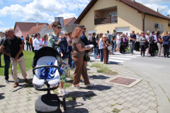 IMG_7575_1024x683