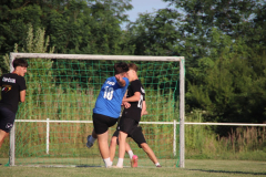 IMG_8421_1024x683