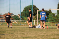 IMG_8467_1024x683